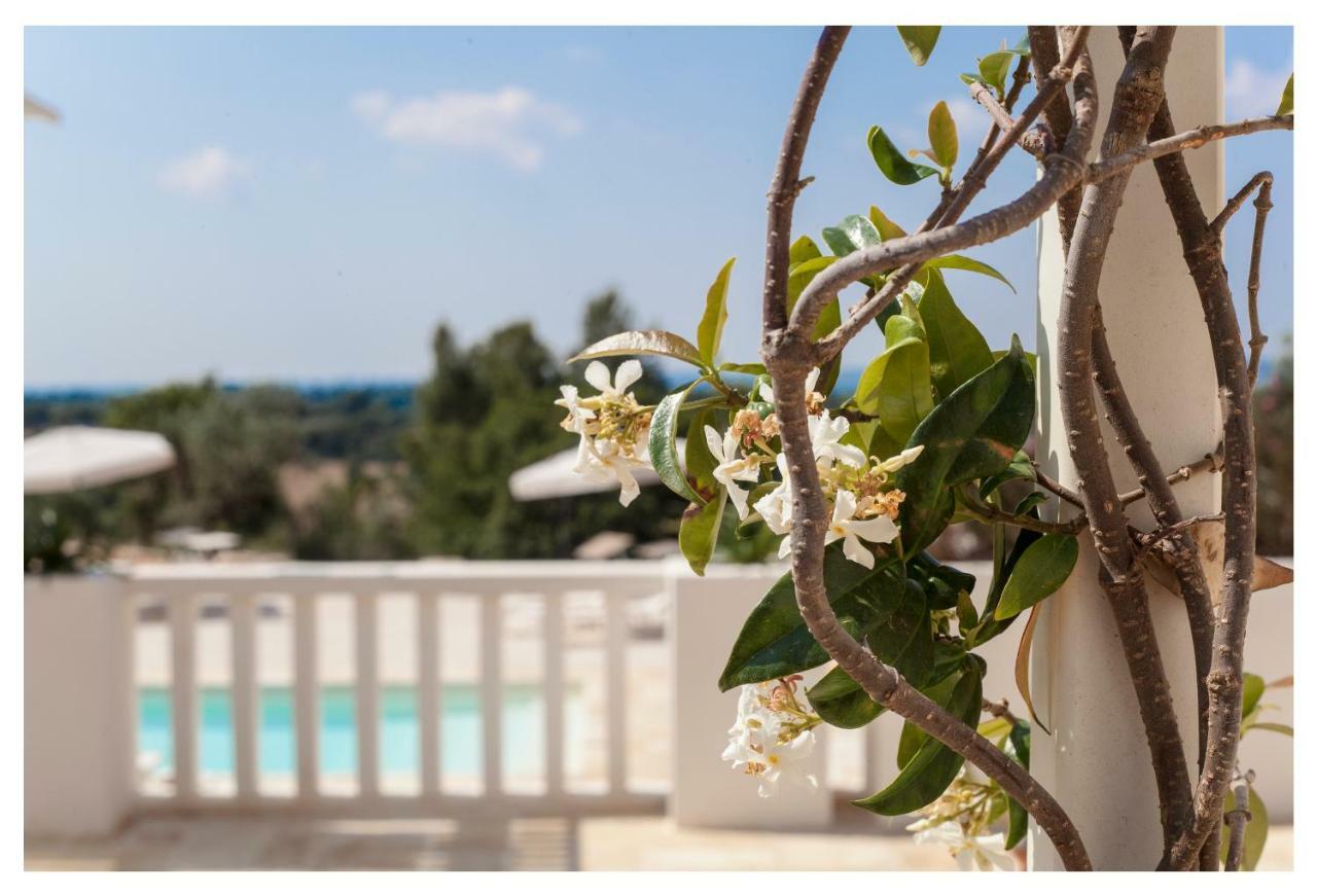 Marinelli Guest House Cisternino Exterior foto